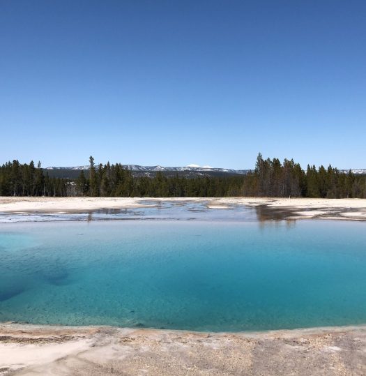 Midway Geyser Spring #1