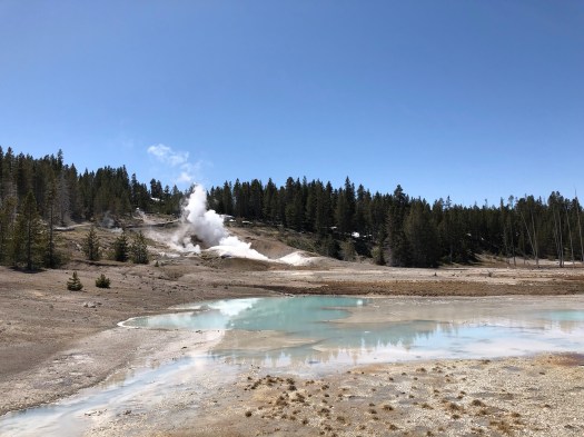 Norris Geyser Basin (wide shot)